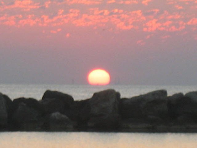 2012 029